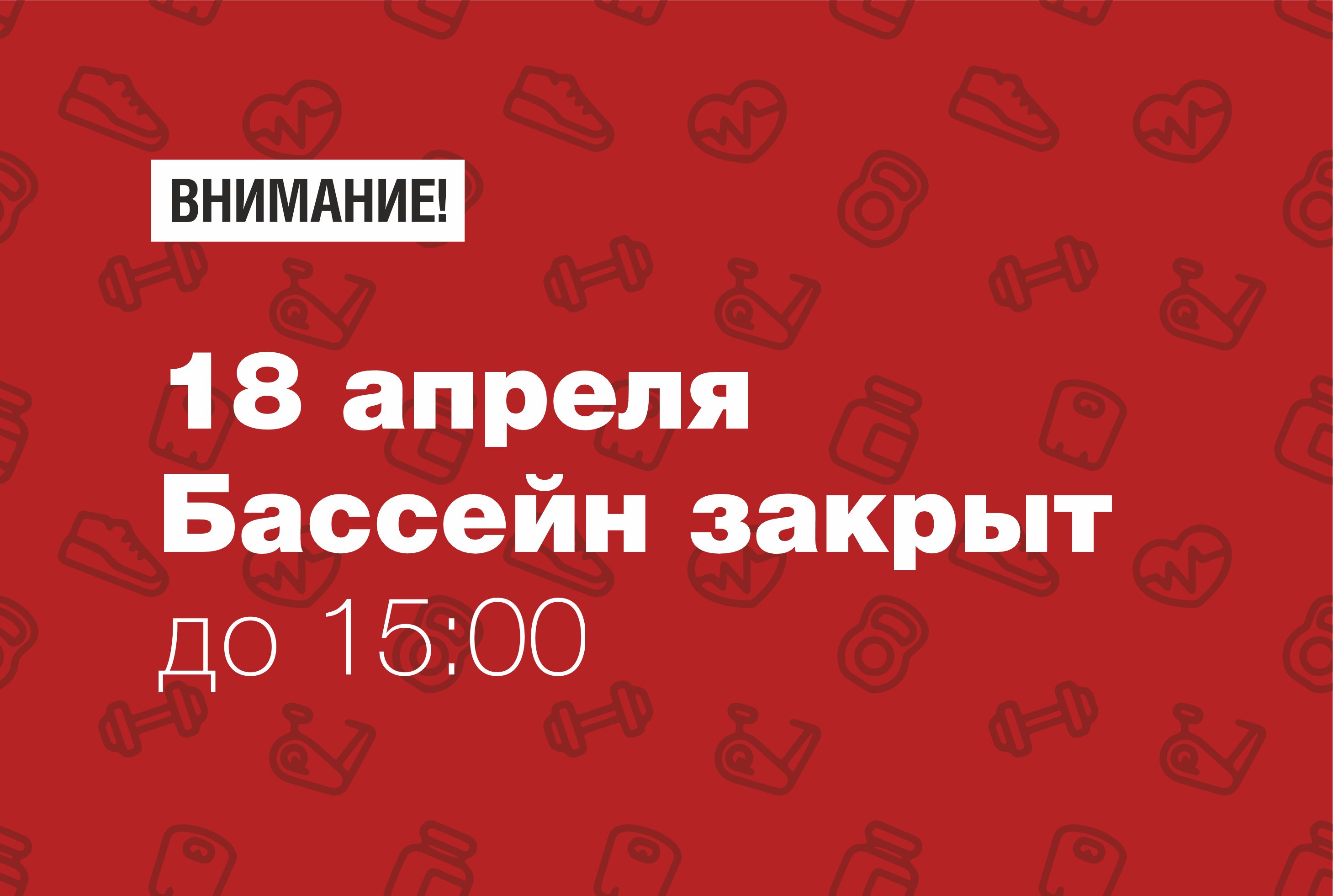 новости обложка басик